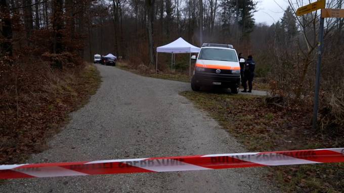 Totes Mädchen in Berner Wald - Ermittlungen laufen auf Hochtouren