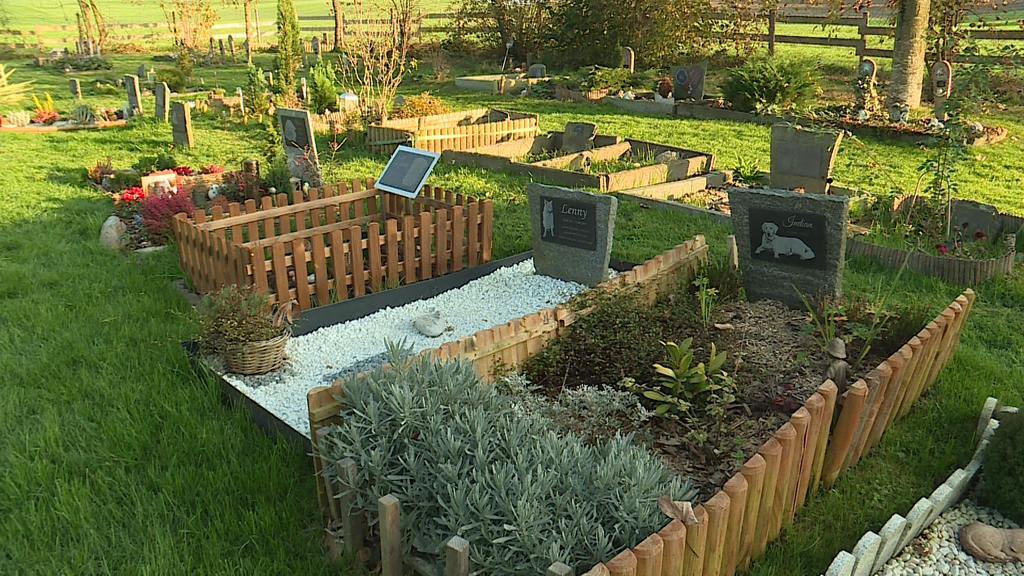 Tierfriedhof 