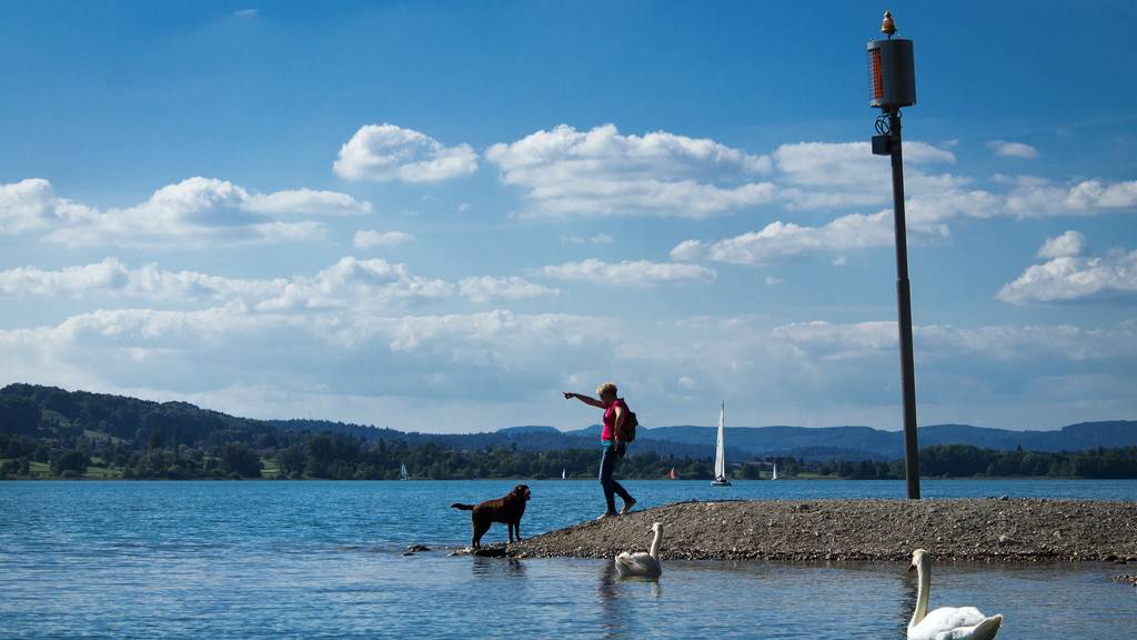 Sturmwarnung Hallwilersee 