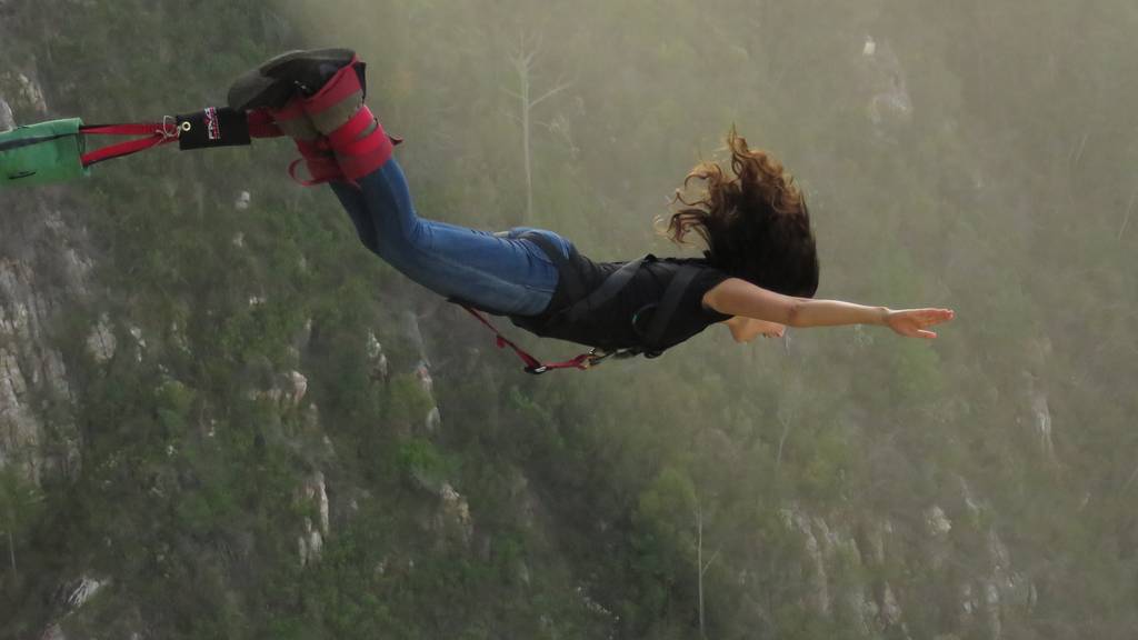 Mit Haien tauchen und von Brücken springen