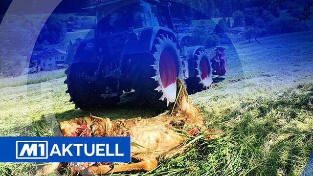 Aktuell — Freitag, 25. Mai 2018 — Ganze Sendung