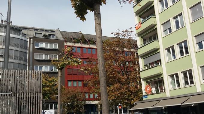 Stadt Luzern fällt 105 Bäume