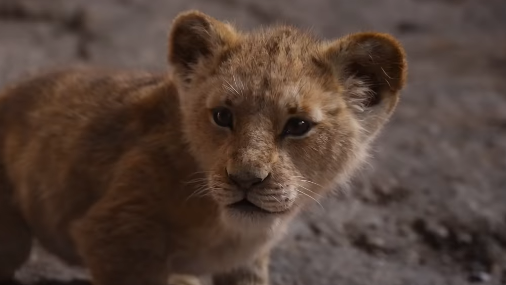 Neuer Trailer zu König der Löwen