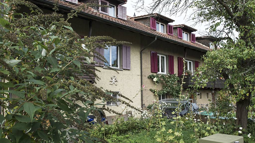 Im Kanton Zürich werden die Planungs- und Bauvorschriften zur Hitzeminderung überarbeitet. Unter anderem geht es dabei um Regelungen für den Erhalt und die Neupflanzung von Bäumen in Gärten. (Symbolbild)
