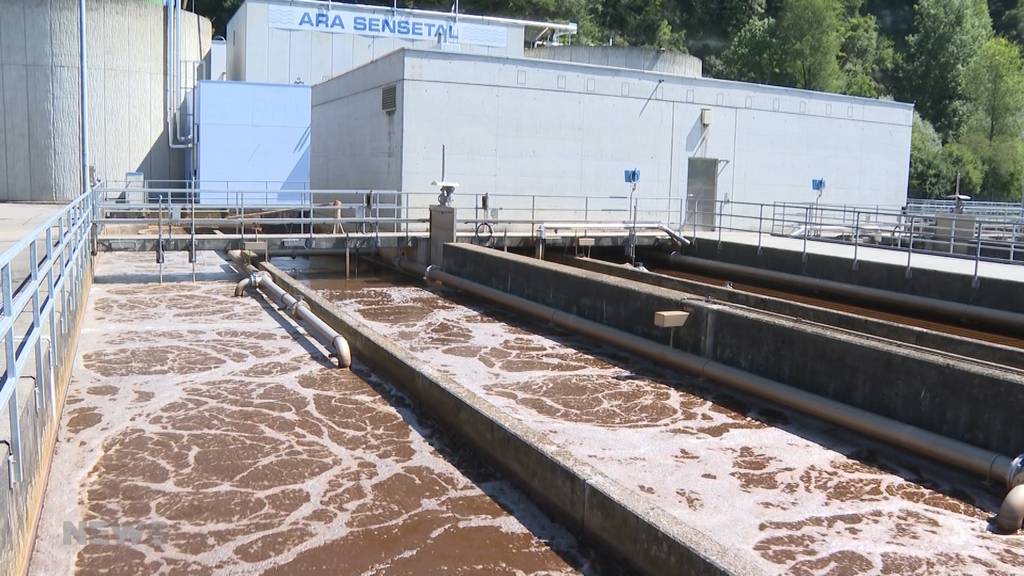 Quarantänepflicht zeigt positiven Nebeneffekt auf Biogas