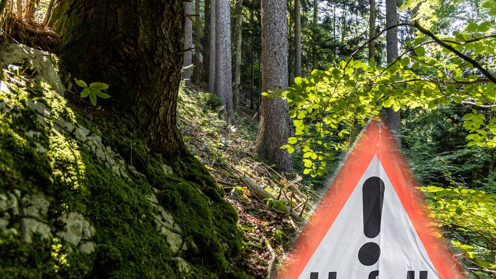 Von Drahtseil an Kopf getroffen – Mann bei Waldarbeiten schwer verletzt