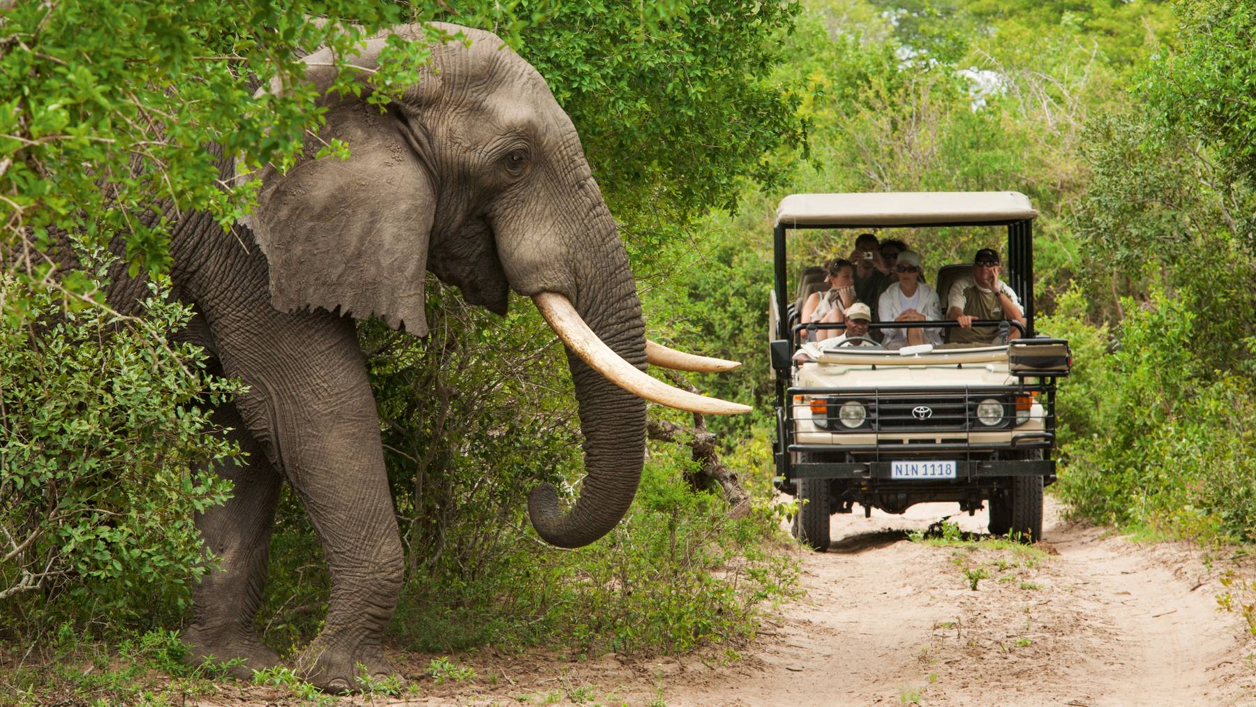 SAT_Safari_Pirschfahrt im Krueger Nationalpark 2