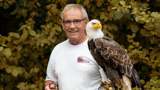 Ein Jahr danach: Neue Gehege für Adler im Greifvogelpark