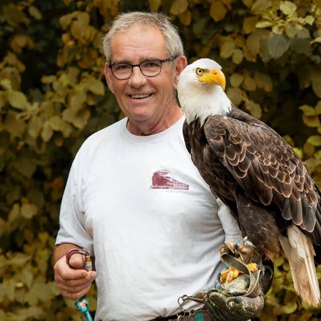 Ein Jahr danach: Neue Gehege für Adler im Greifvogelpark