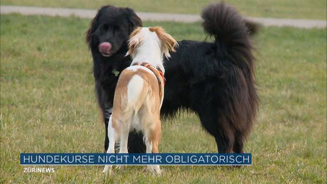 Obligatorische Hundekurse werden abgeschafft