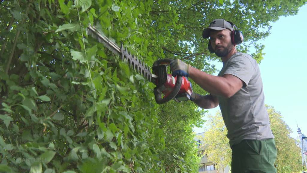 Lehrlinge gesucht: Hunderte Lehrstellen in der Region sind zum Lehrbeginn unbesetzt