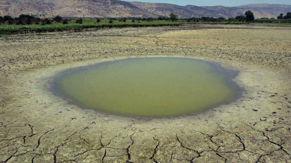 Jugendliche fürchten den Klimawandel weniger – obwohl Europa immer öfter von Hitzewellen, Dürren und Waldbränden getroffen wird. (Symboldbild)