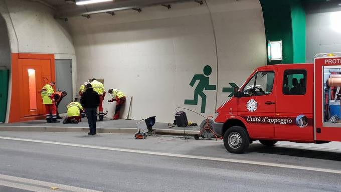 Polizei sperrt Tunnel, um Büsi zu retten