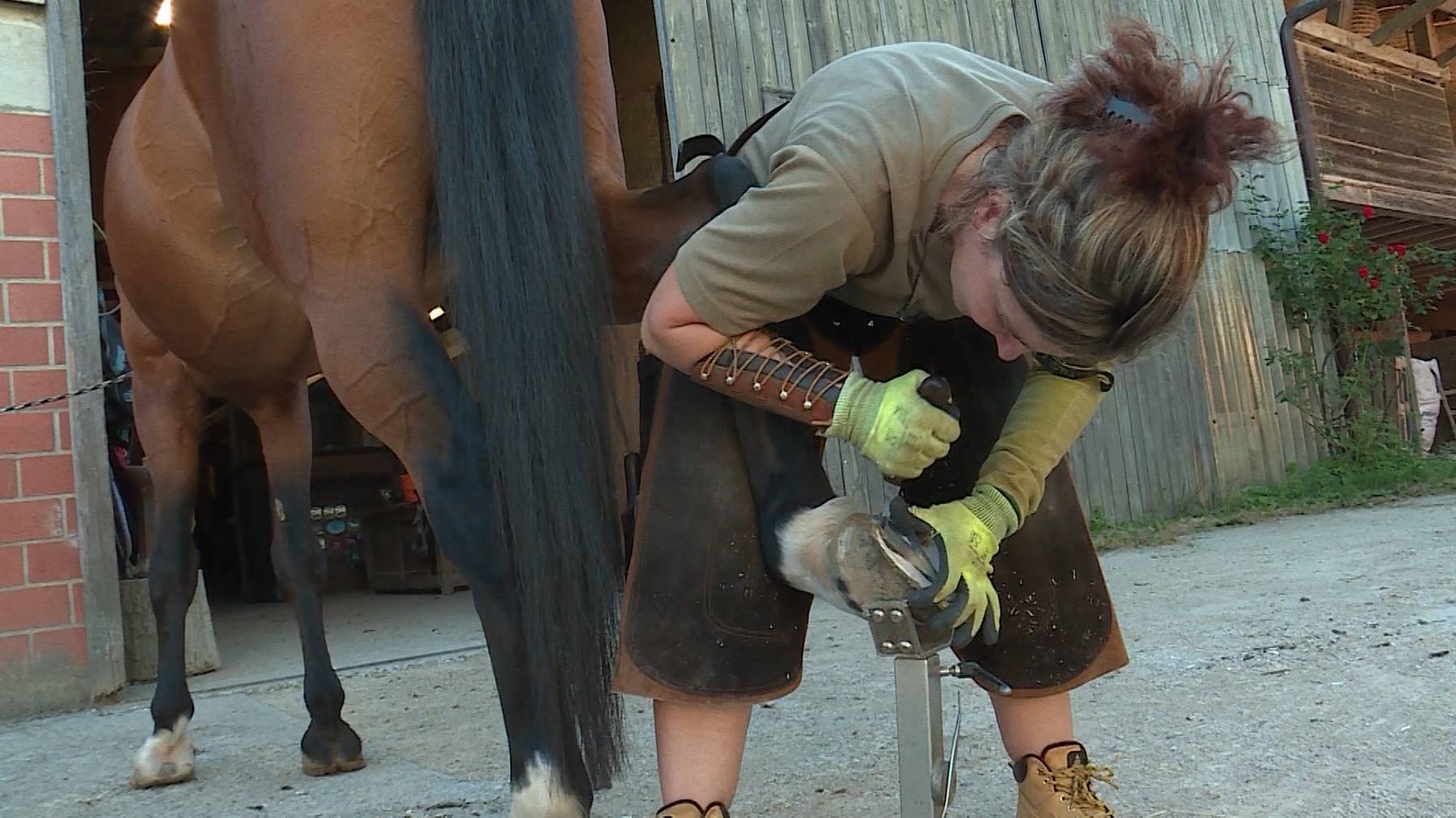 Tierische Pedicure 