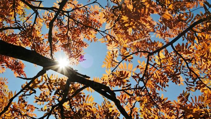 Temperatursturz: Es stehen kühle Herbsttage bevor