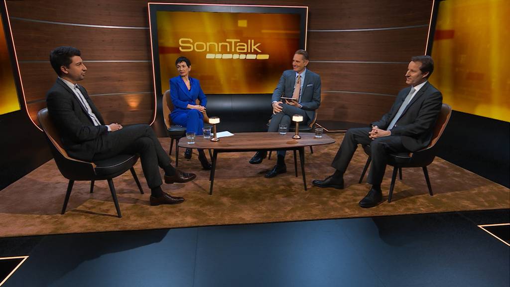Waffenlieferungen, EU-Dossier, Knall bei Ringier: Die Themen im SonnTalk