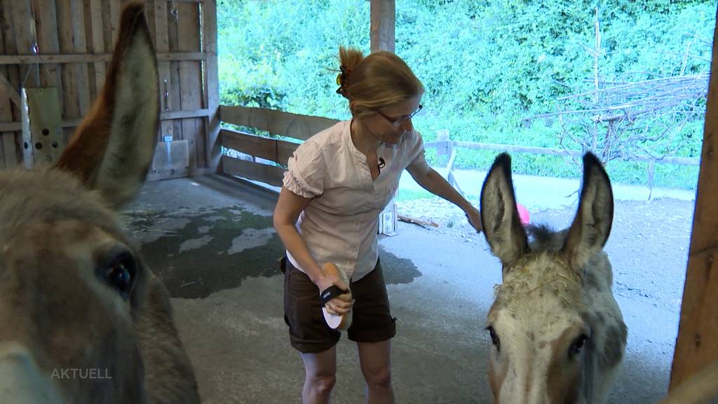 Alkohol-Sucht: Auf einem Bauernhof in Wildenau erhalten Betroffene eine Wiedereingliederung