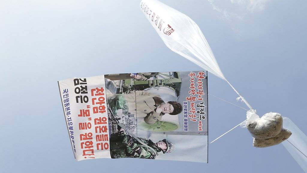 Flugblätter und ein Poster an einem Ballon, der sie über die Grenze nach Nordkorea tragen soll. (Archiv)