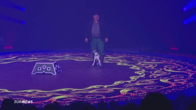 Circus Knie feiert Premiere: Mike Müller als Hundedompteur