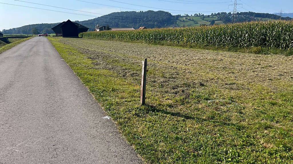 Ein 56-jähriger Mann stürzte mit seinem E-Bike und zog sich tödliche Verletzungen zu. Im Bild zu sehen ist die Unfallstelle.