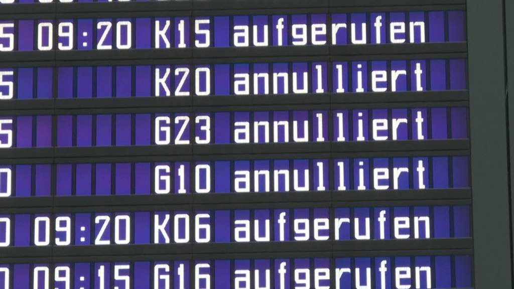 Drohnen-Gefahr: Flugplatz Altenrhein rüstet sich gegen Eindringlinge von oben