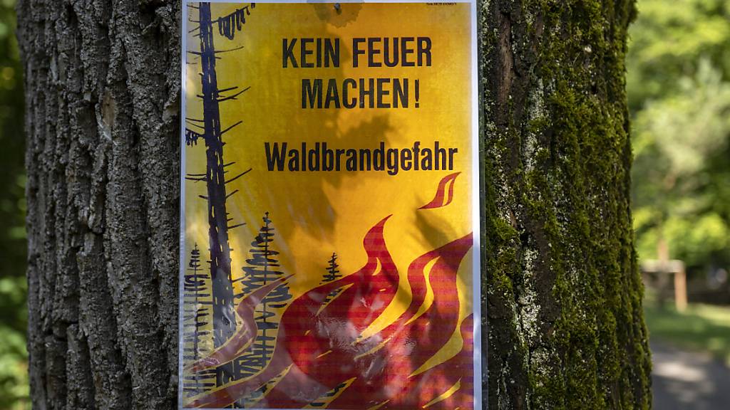 Es herrscht Waldbrandgefahr: Warnplakat im Waldgebiet der Langen Erlen in Basel. (Archivbild)