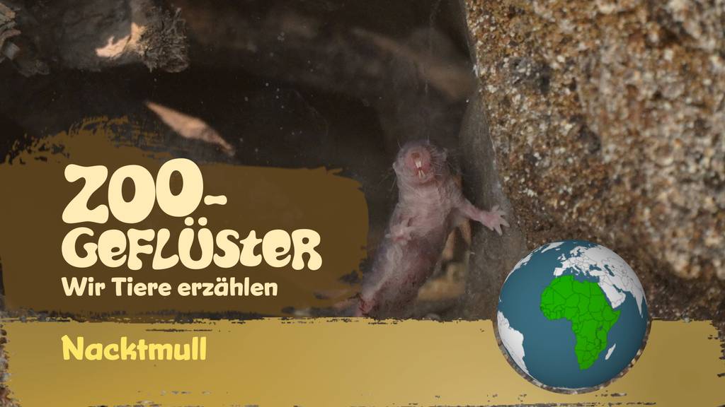 Wir sind unterirdische Ordnungsfreaks