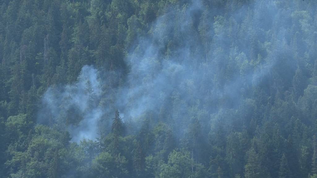Waldbrand oberhalb von Unterseen ausgebrochen