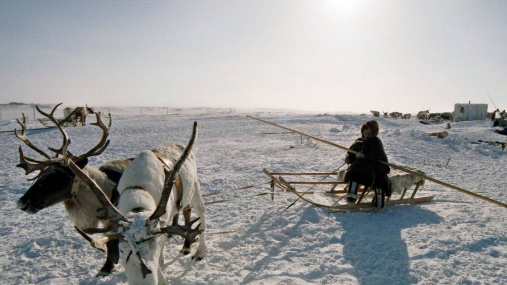 Die Taimyr-Halbinsel im Norden Sibiriens ist eines von zwei russischen Permafrost-Gebieten, in denen die Hitzewelle zur erhöhten Freisetzung von klimaschädlichem Erdgas führt (Archivbild).