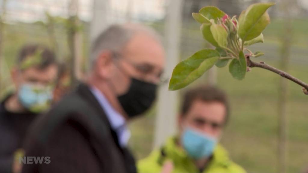 Mögliche Folgen der Trinkwasser- und Pestizidinitiative: Guy Parmelin besucht Biobetrieb