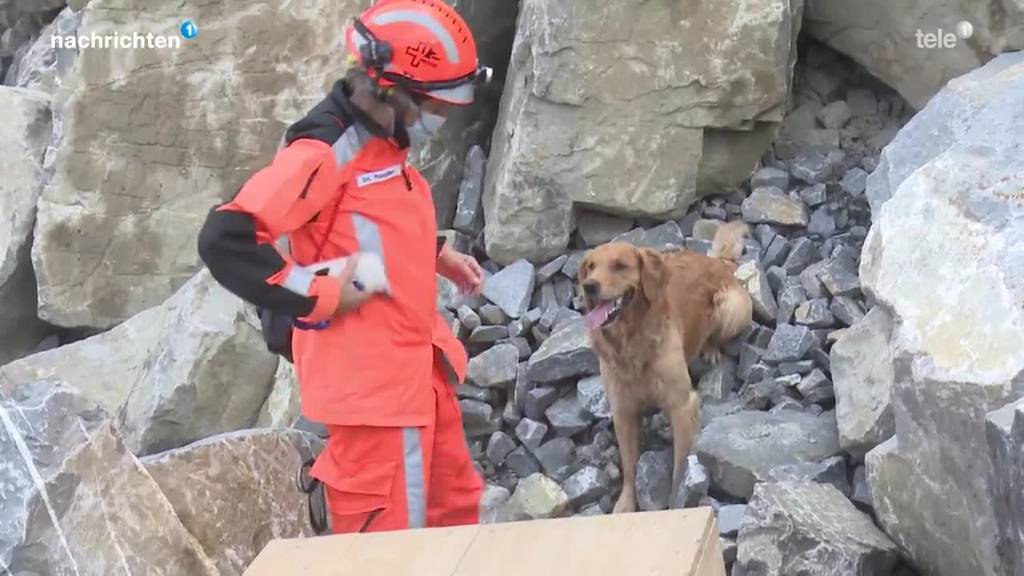 Ausbildung der Rettungshunde Redog