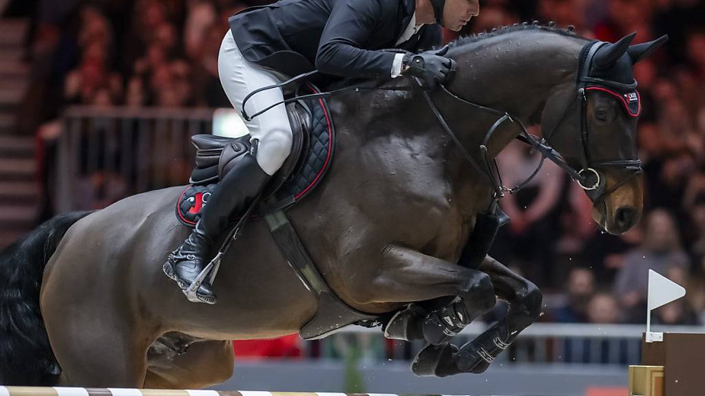 Setzen Alain Jufer und Dante diesen Sommer sogar zum Sprung nach Paris an? Das Duo darf sich im Nationenpreis des CSIO St. Gallen empfehlen