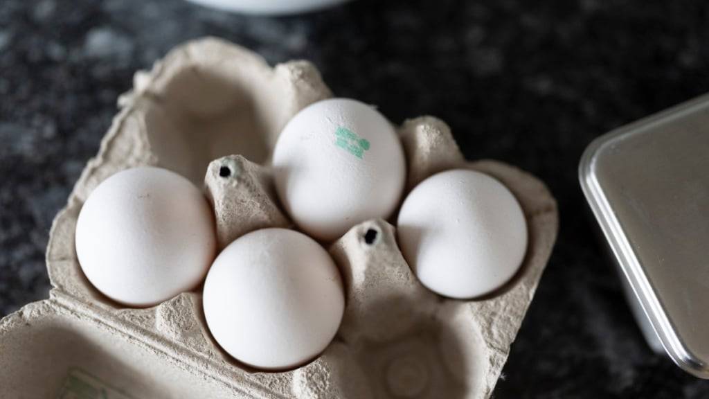 Die Konzentration von PFAS in Eiern hängt auch mit der Haltungsform zusammen. (Symbolbild)