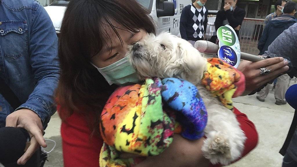 Fünf Tage nach dem Erdbeben in Taiwan haben Retter den siebenjährigen Pudel Le Le aus den Trümmern eines zusammengestürzten Wohnhauses gerettet. Die Zahl der Todesopfer stieg derweil auf 55.