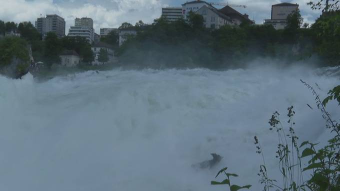 Spektakel am Rheinfall: «Die Wassermassen sind gigantisch»