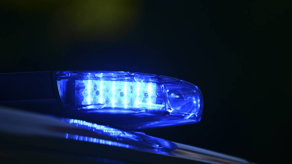 Kanadas Polizei fahndet nach Täter in Katzenkostüm