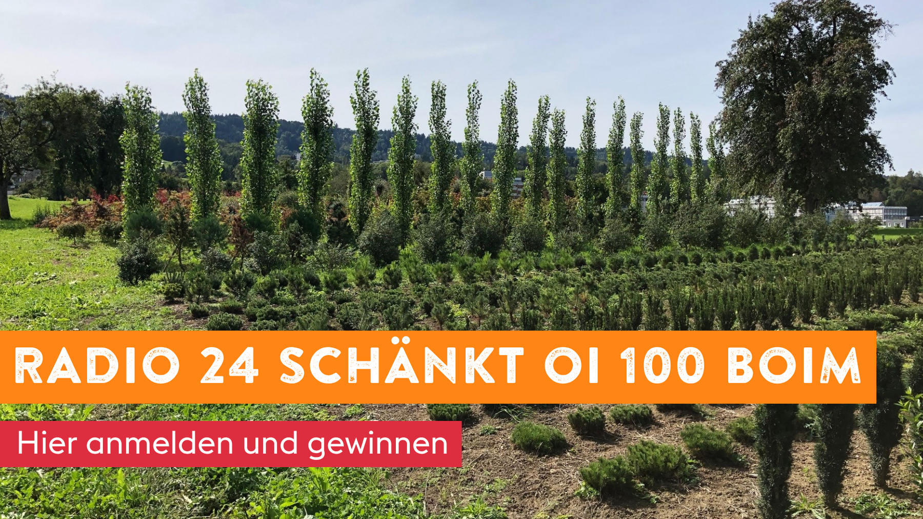 Radio 24 schänkt oi 100 Boim 2026 Radio 24 Visual