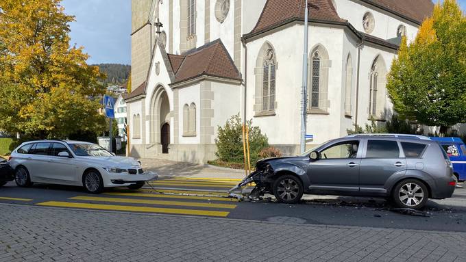 Marienkäfer-Rettungsversuch führt zu Unfall mit drei Autos
