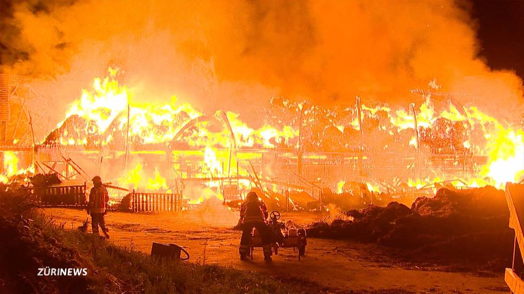 Grossbrände in Frauenfeld und Stetten