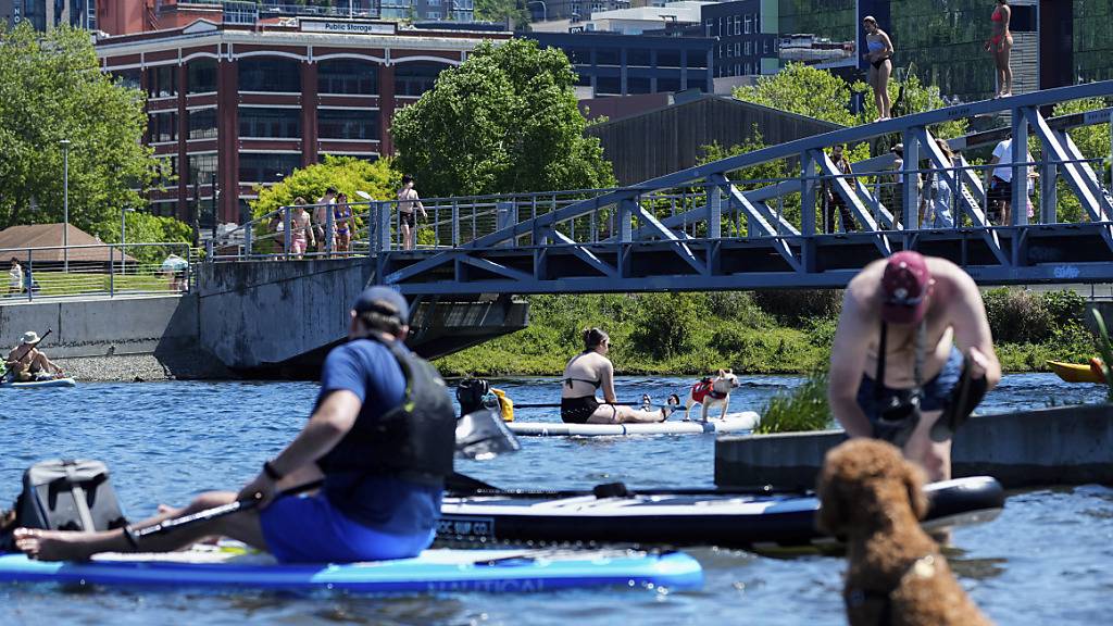 ARCHIV - Hunde und Menschen kühlen sich im Lake Union Park in Seattle im Wasser ab. Die erste Hälfte des Jahres war nach Angaben der US-Klimabehörde NOAA weltweit die drittwärmste seit Beginn der Aufzeichnungen im Jahr 1880. Foto: Lindsey Wasson/AP/dpa