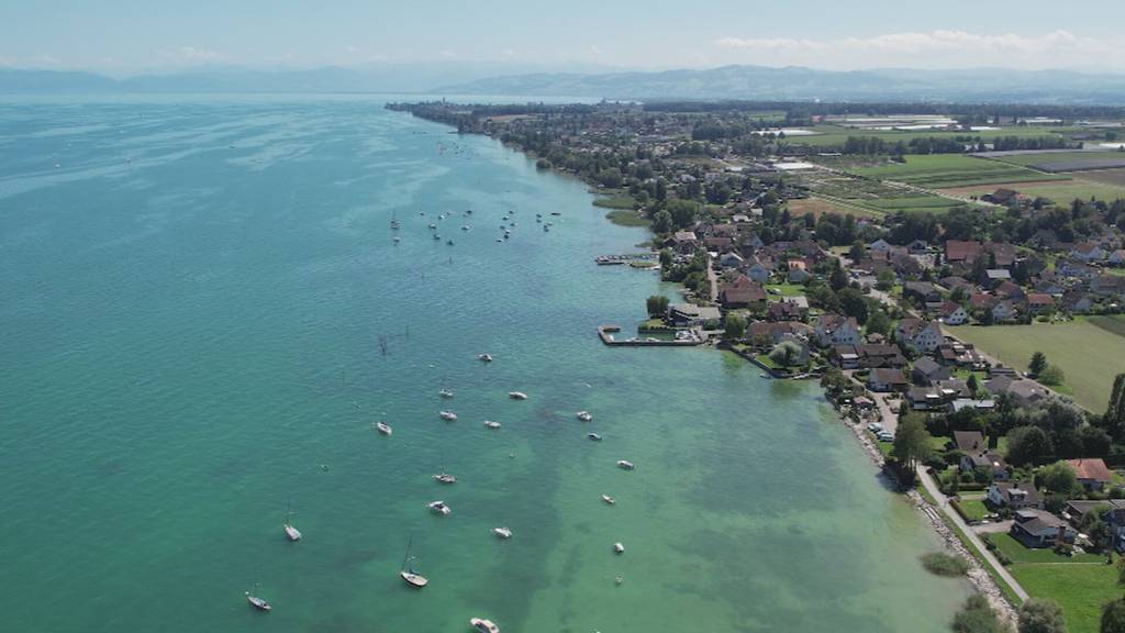 Gefährlich: Blaualgen verderben Badespass im Bodensee