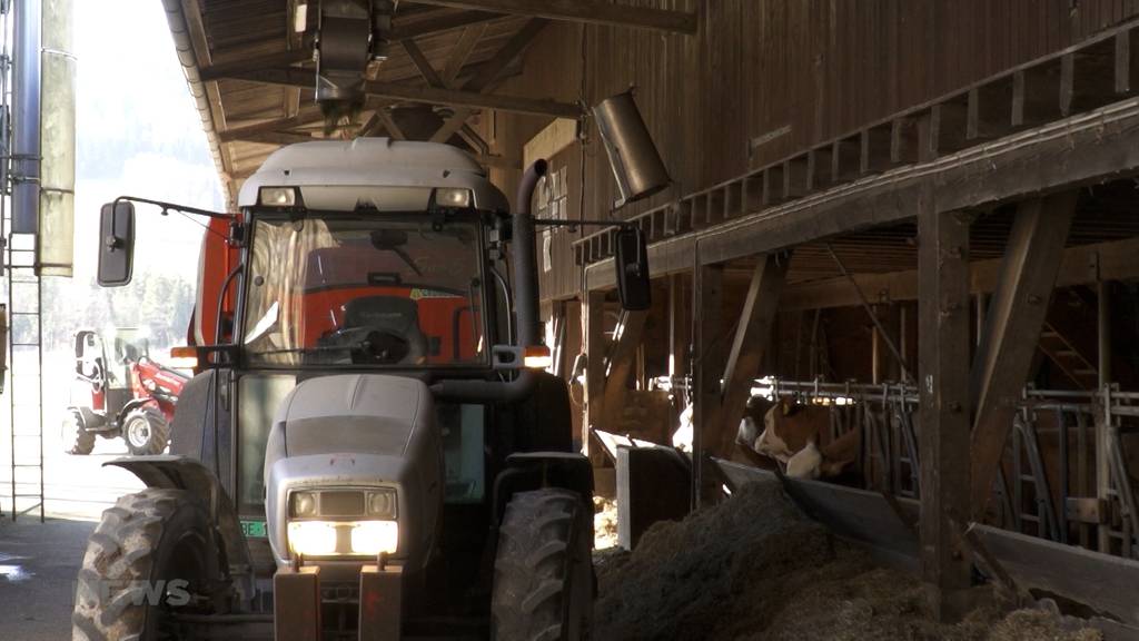 Kanton Bern bezahlte zu viel Subventionen: Rückzahlung der Beträge bringt Bauern in finanzielle Not