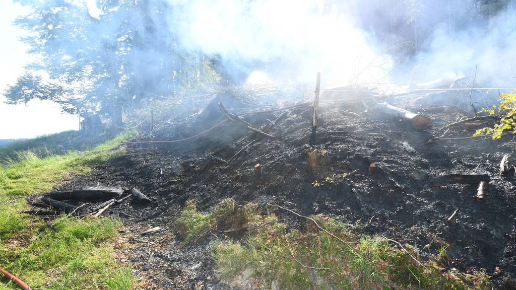 Waldbrand ausgebrochen: Feuerwehr kann Schlimmeres verhindern