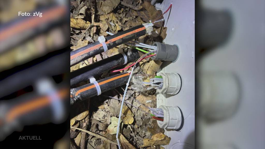 Hohe Strafen: Glasfaser-Täter von Rheinfelden sollen bis zu 10 Jahre ins Gefängnis