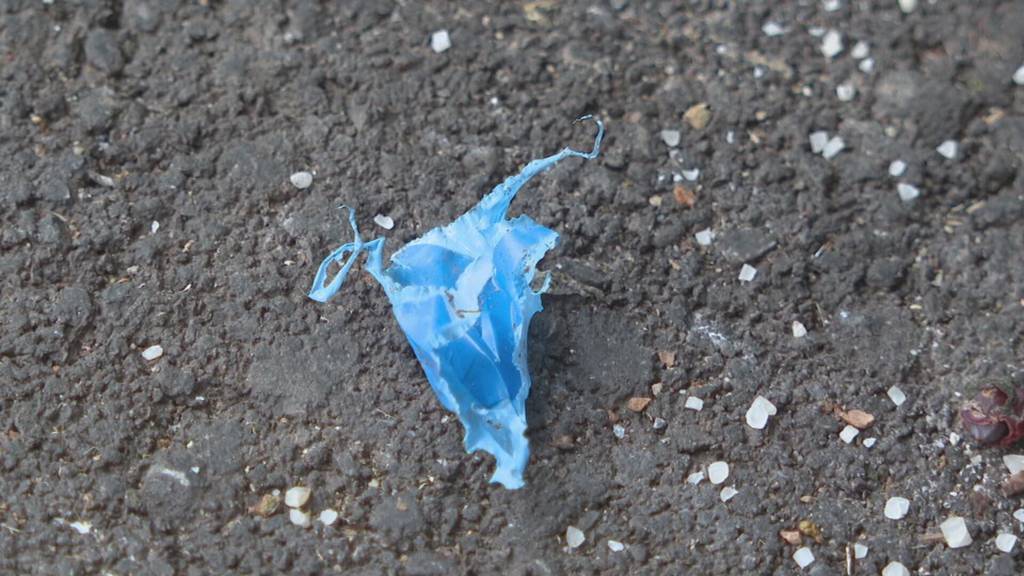 Füchse zerreissen Abfallsäcke und hinterlassen Chaos