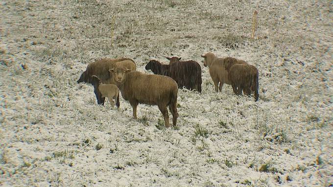 In der Ostschweiz ist der erste Schnee gefallen