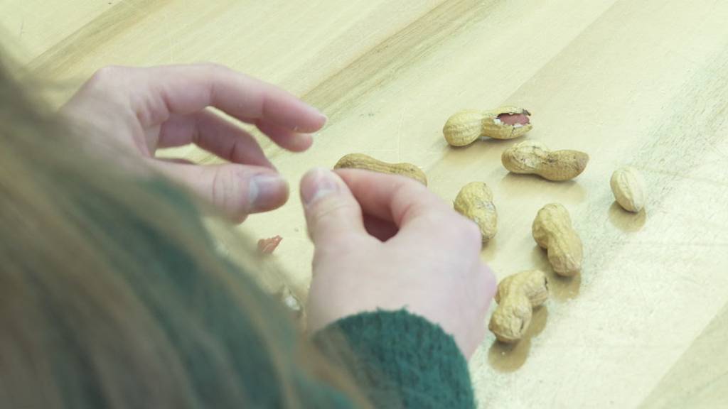 Erstickungsgefahr wegen Erdnüssen