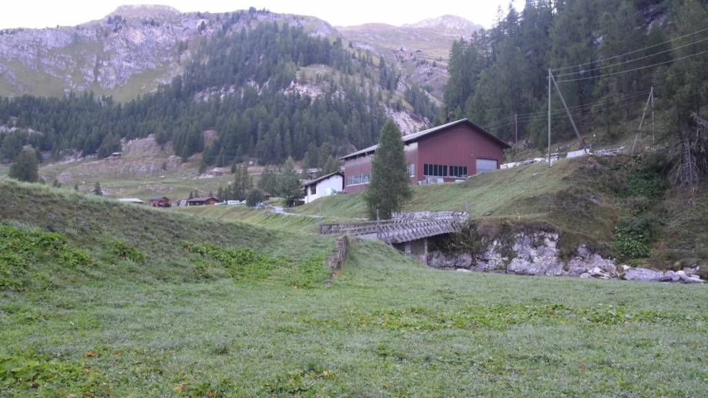 Auf dieser Wiese in Cröt GR erlegte ein Jäger am Sonntagmorgen versehentlich ein Pferd.