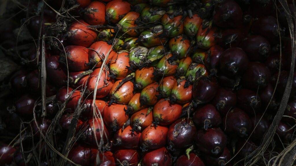 Ständerat genehmigt Handelsabkommen mit Malaysia