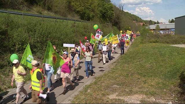 Deutsche demonstrieren gegen Atomkraftwerk Beznau